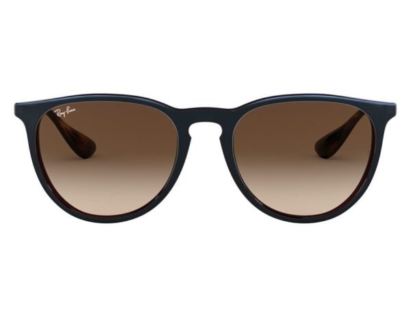 Rayban RB4171 631513 Dark Grey Unisex Rectangle Sunglasses