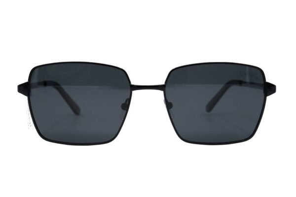Difinity S6624 C5 Silver Men Aviator Sunglasses
