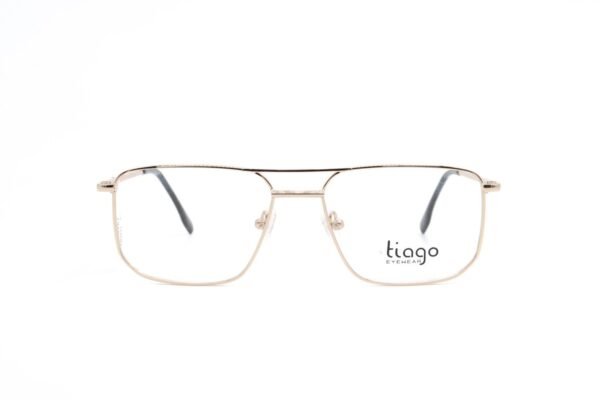 Tiago 1309 C6