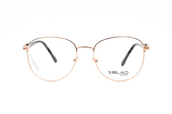 Xblad SY1889 C2